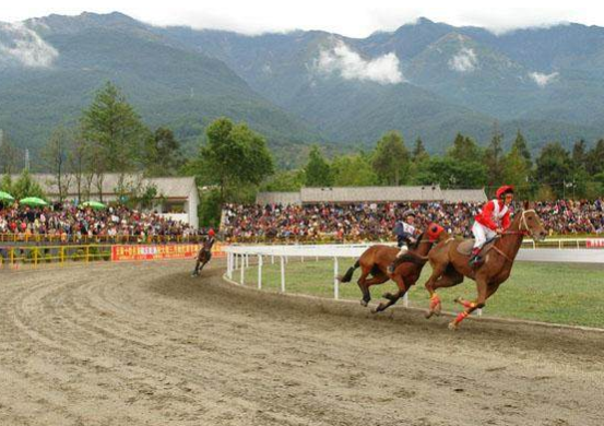 賽馬.png
