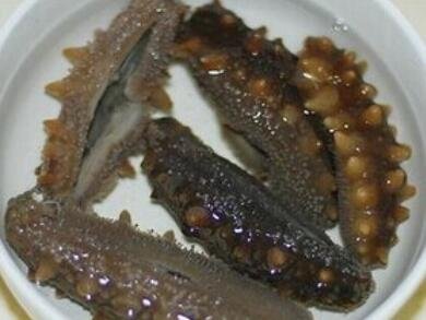 海參怎么樣1.jpg 海參怎么樣1.jpg