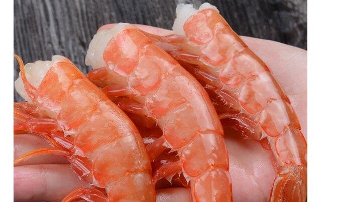 阿根廷紅蝦 阿根廷紅蝦