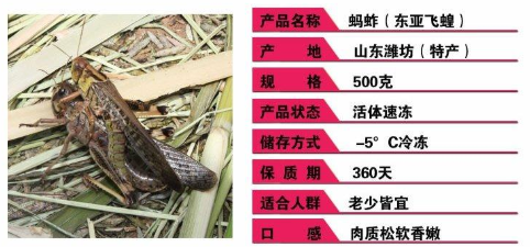 螞蚱的養(yǎng)殖