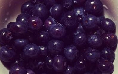 藍莓怎么洗2.jpg