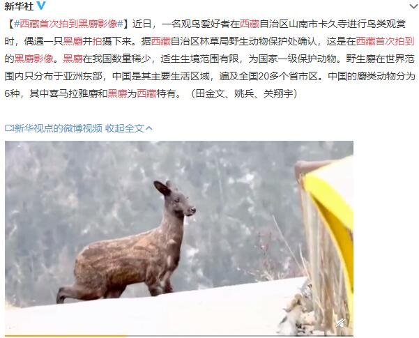 西藏首次拍到黑麝影像.jpg