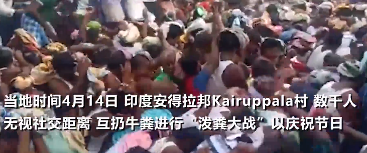 印度上千村民互扔牛糞送祝福.png