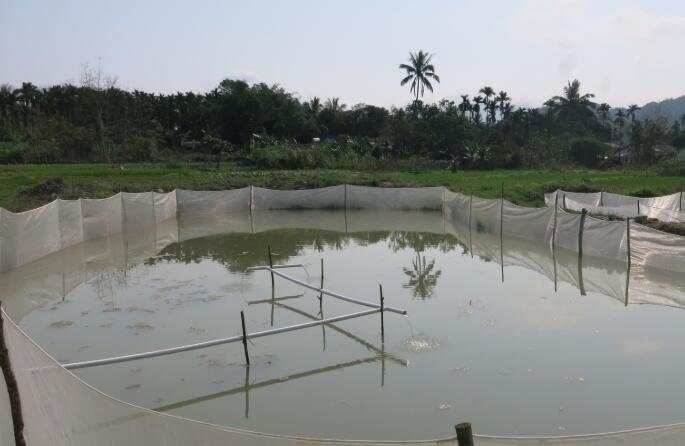 泥鳅养殖业