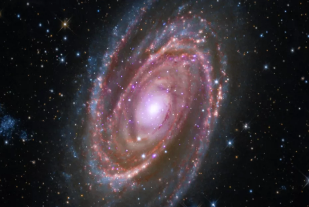 旋涡星系M81距地球约1200万光年.png