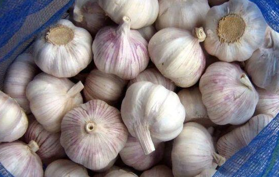 一袋蒜.png 一袋蒜.png