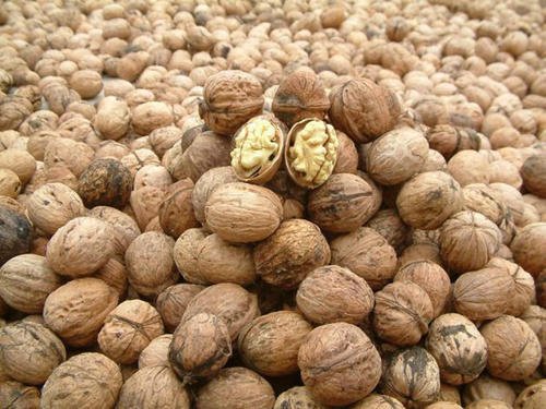核桃的功效 核桃的功效