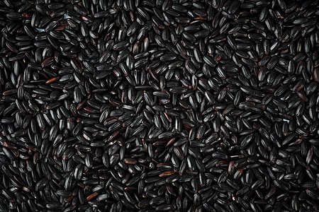 黑芝麻產(chǎn)地 黑芝麻產(chǎn)地