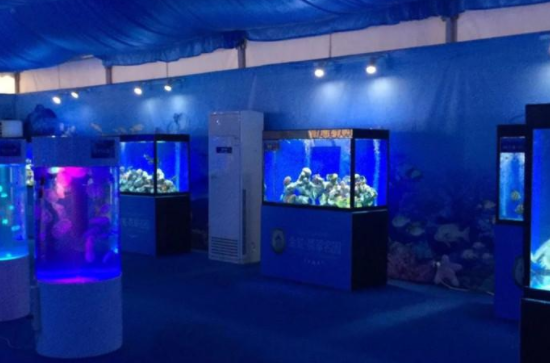 養(yǎng)殖水母.png 養(yǎng)殖水母.png