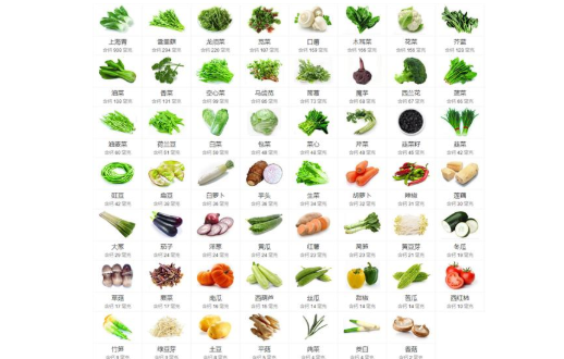 蔬菜有哪些,常吃的蔬菜有哪些种类,都在哪些地方呢?
