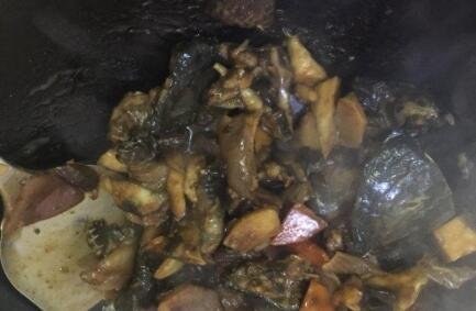 甲魚怎么做1.jpg 甲魚怎么做1.jpg