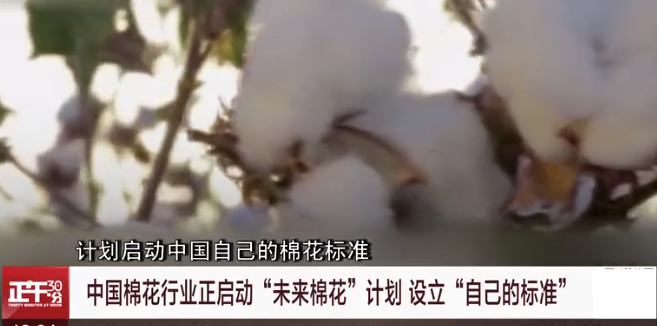 中國(guó)棉花的標(biāo)準(zhǔn).png 中國(guó)棉花的標(biāo)準(zhǔn).png
