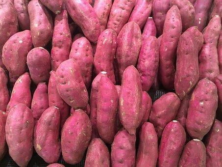 红薯催芽法