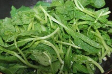 薺菜怎么做2.jpg 薺菜怎么做2.jpg