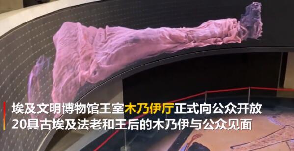 古埃及法老王后木乃伊.png 古埃及法老王后木乃伊.png