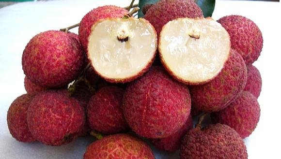 荔枝的功效 荔枝的功效