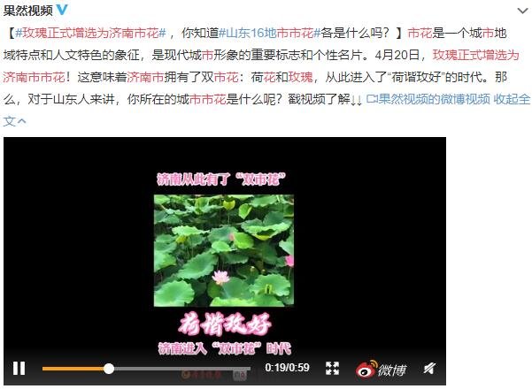 玫瑰正式增選為濟南市花.jpg 玫瑰正式增選為濟南市花.jpg