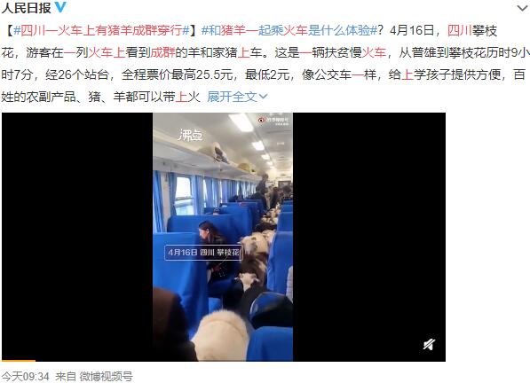 四川一火車上有豬羊成群穿行.jpg