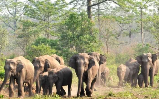 馬納斯野生動植物保護(hù)區(qū).png 馬納斯野生動植物保護(hù)區(qū).png