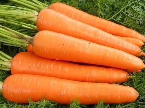 胡蘿卜功效