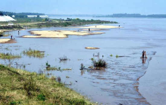 黃河濕地.png 黃河濕地.png