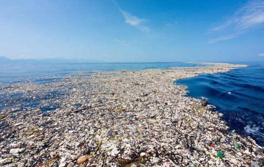 海洋垃圾.png