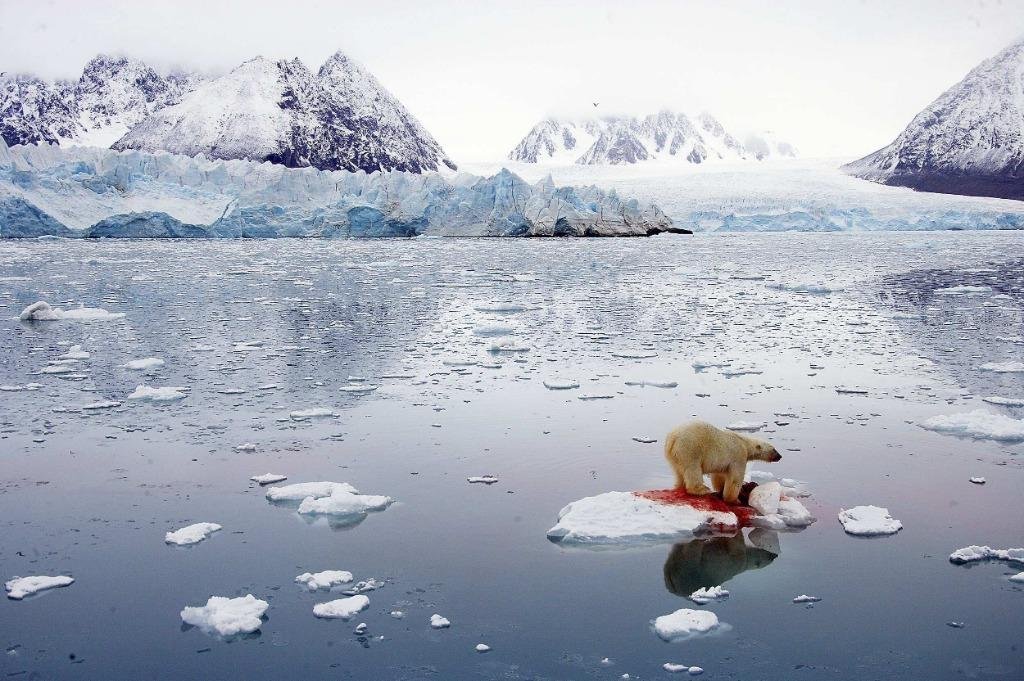 研究发现全球每年流失2600多亿吨冰，全球冰川加速融化会有什么严重后果？