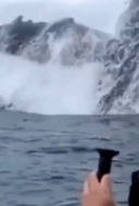 近距离目击座头鲸跃出水面