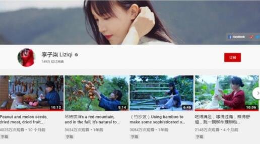 李子柒視頻.jpg