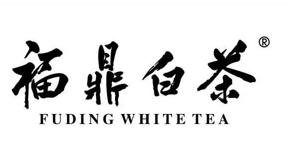 福鼎白茶股份.png