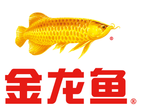 金龙鱼食用油价格是多少，金龙鱼怎样的呢？