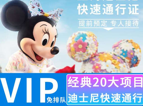 上海迪士尼vip通道.png