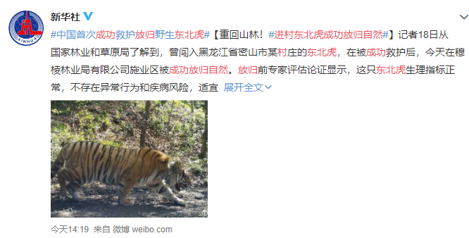 进村东北虎成功放归自然，东北虎是几级保护动物，为什么对圈养东北虎进行野化放归