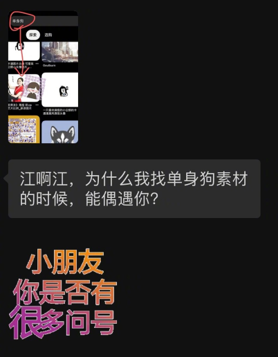 江疏影被单身狗素材冒犯到