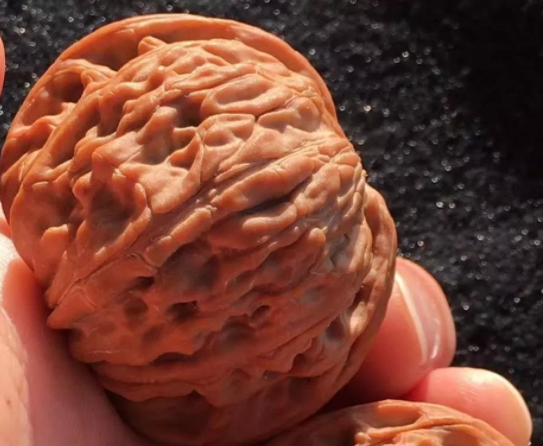 文玩核桃.png 文玩核桃.png