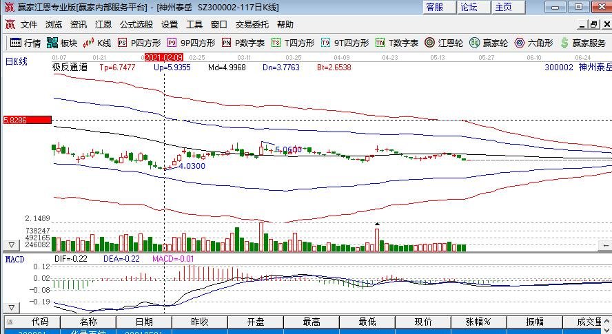 神州泰岳 神州泰岳
