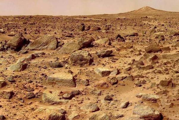 火星土壤中是否存在微生物.jpg