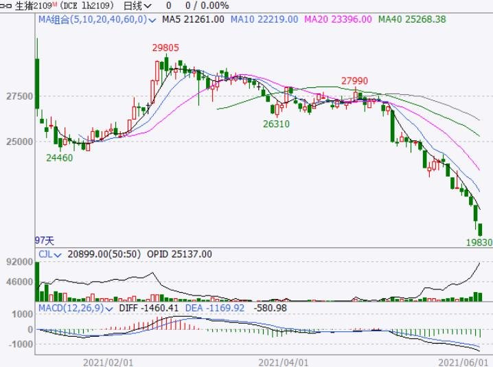 生豬價(jià)格.jpg 生豬價(jià)格.jpg