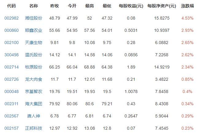 豬肉概念.jpg 豬肉概念.jpg