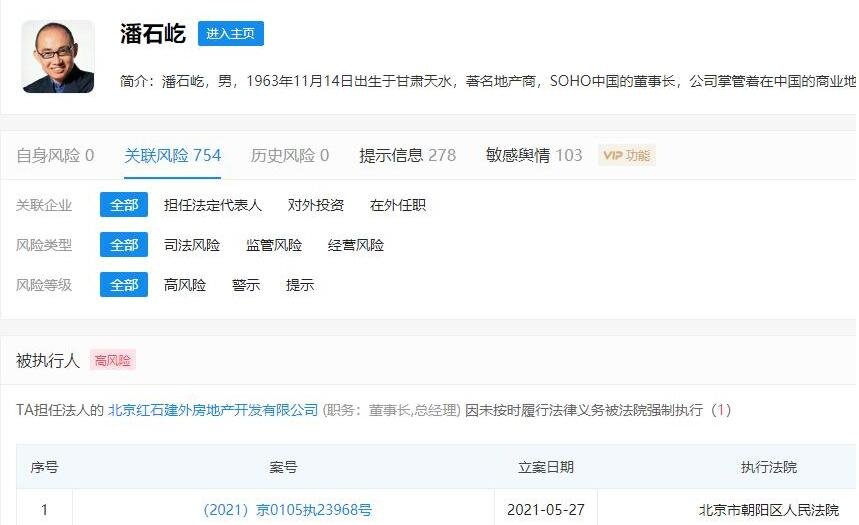 潘石屹公司被执行是怎么回事?潘石屹目前有多少资产?