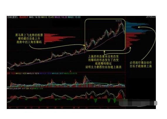 一只股票的浮動籌碼怎么算的.jpg 一只股票的浮動籌碼怎么算的.jpg