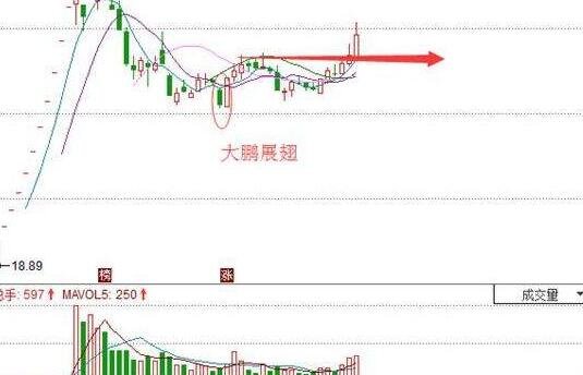 大鵬展翅案例.jpg 大鵬展翅案例.jpg