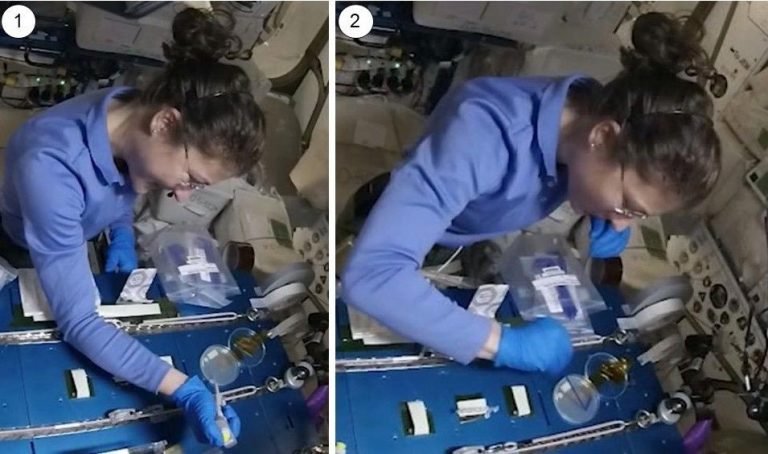 美国宇航局宇航员克里斯蒂娜·科克在国际空间站上执行实验程序.jpg