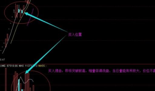 死多頭.jpg 死多頭.jpg