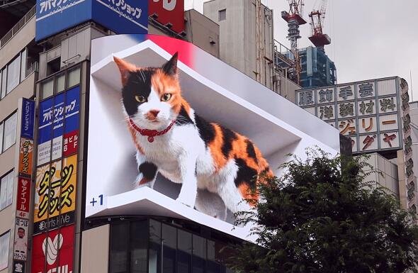 日本东京新宿现巨大3D猫咪.jpg