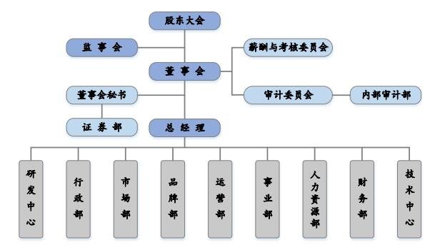 公司组织 机构图.jpg