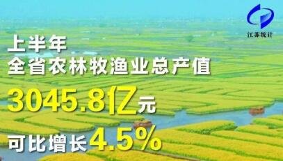 上半年江苏居民人均可支配收入25119元