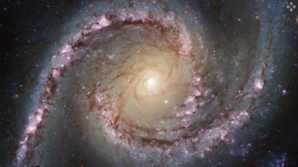 NGC 1566 距离地球约 4000 万光年，其中心有一个活跃的超大质量黑洞.jpg