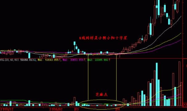 芝麻點1.jpg 芝麻點1.jpg