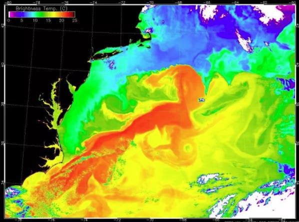 墨西哥湾流（红色）使暖水加速上升到美国东海岸，在那里与北大西洋的冷水发生冲突.jpg